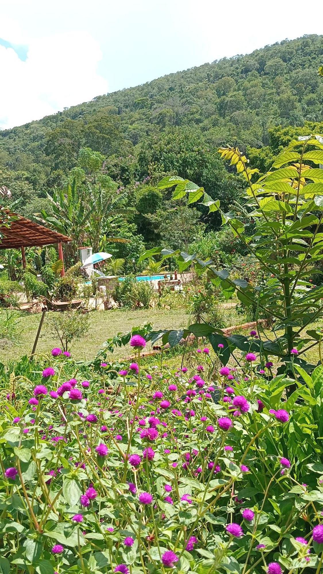 Recanto Sao Francisco De Assis Pirenopolis Exterior photo